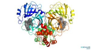 Conosorzio Exscalate4Cov - 3cl-protease-rainbow