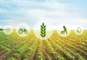 tecnologie per l’agricoltura sostenibile
