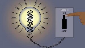 editing genomico CRISPR Cas9 reversibile